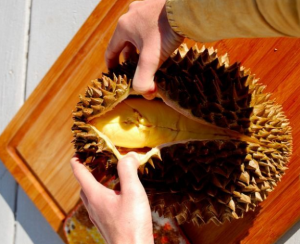 thai fruits, durian