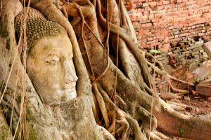 Wat Mahathat – The wonder of history