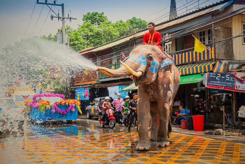 Songkran elephant