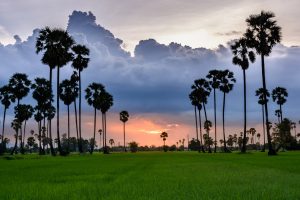 How to Use Toilets in Thailand: Squat toilets aren't that bad if we get to escape the cities and enjoy local way of life