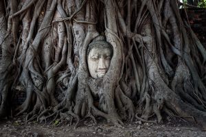 Best Day Trips from Bangkok: Wat Mahathat Ayutthaya