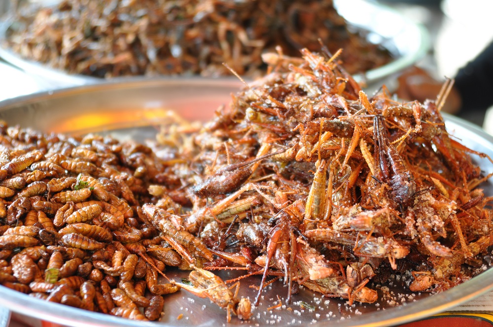 Fried Crickets, Deep Fried Bugs, Siem Reap, Cambodia 