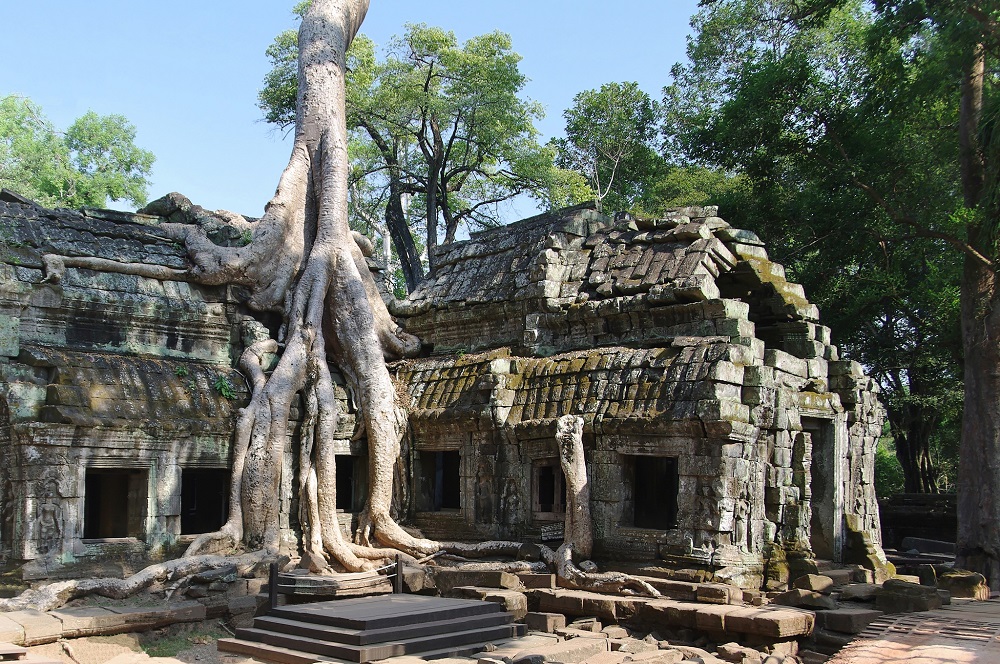 Ta Prohm Temple, Tomb Raider Temple, Ta Prohm Giant Tree, Siem Reap, Cambodia 