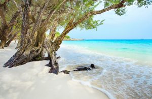 islands in thailand