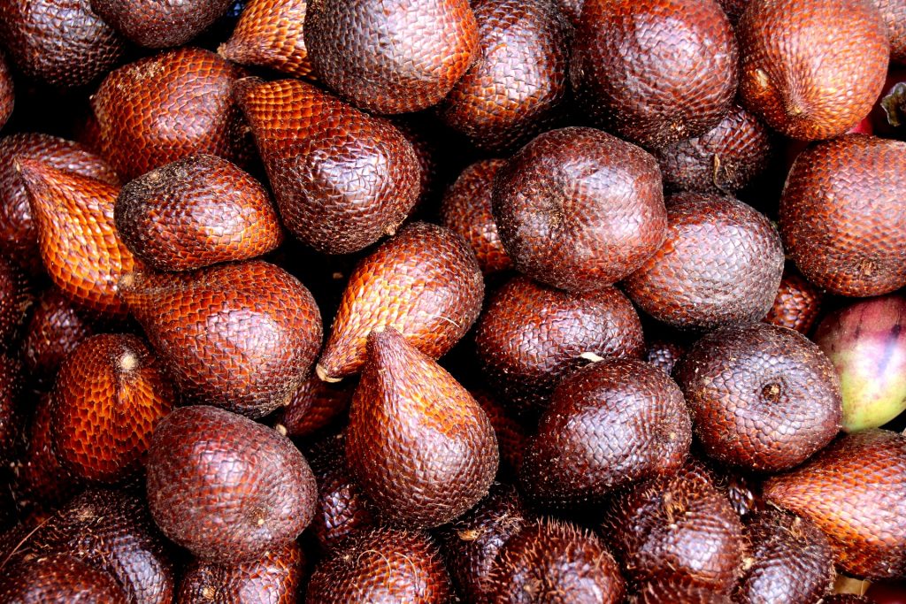 Salak, famous fruit of Trat, tropical fruit 