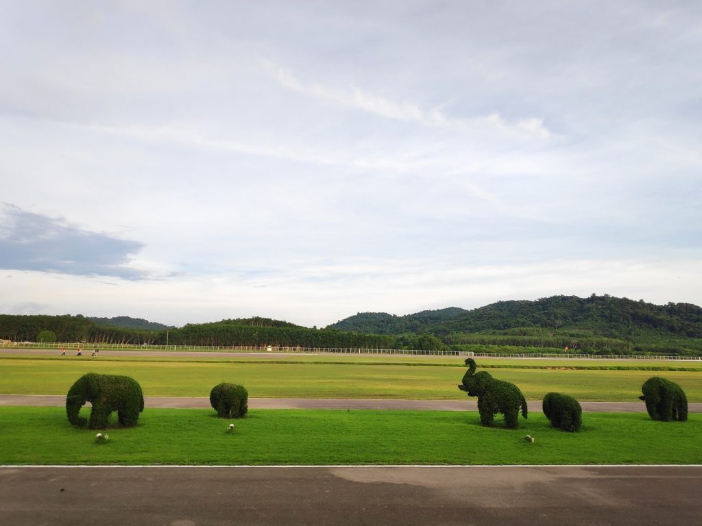 Trat airport, Bangkok Airways 