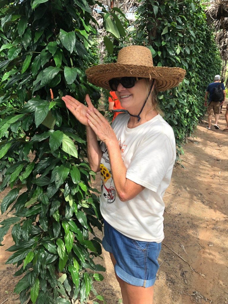 Pepper Farm, Kampot, Cambodia