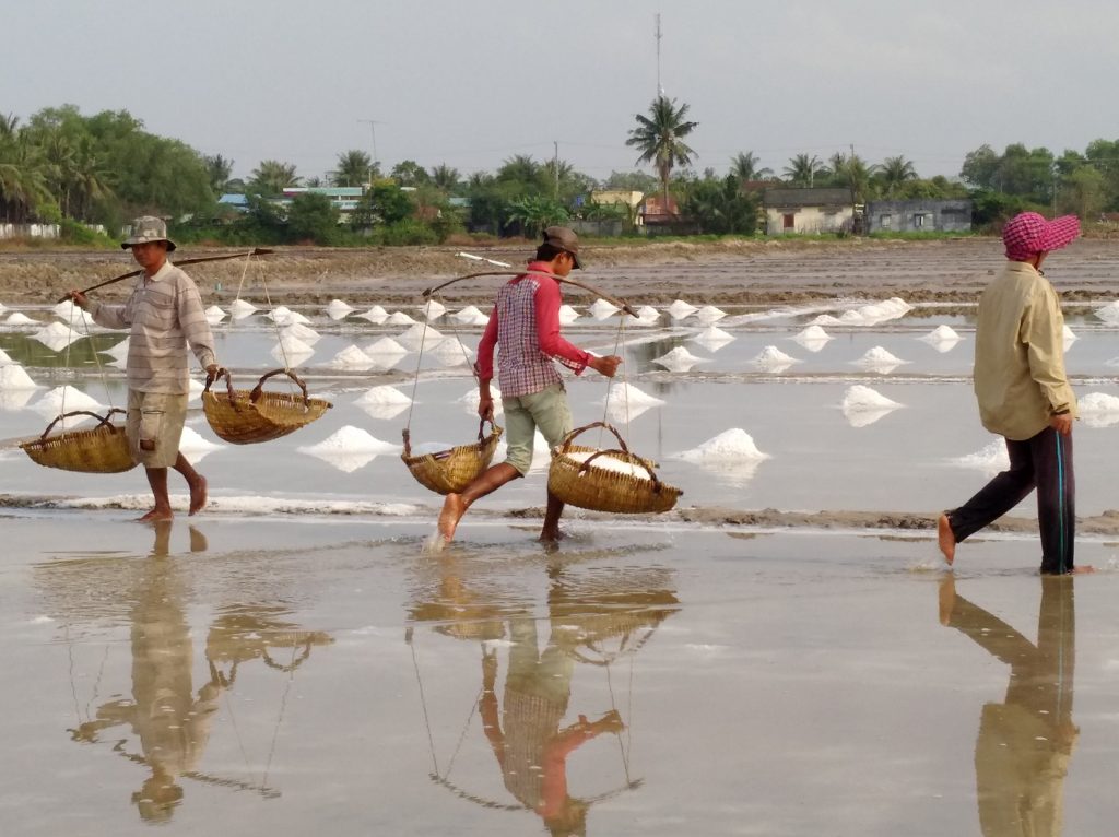 Salt Farm, Kampot, Cambodia