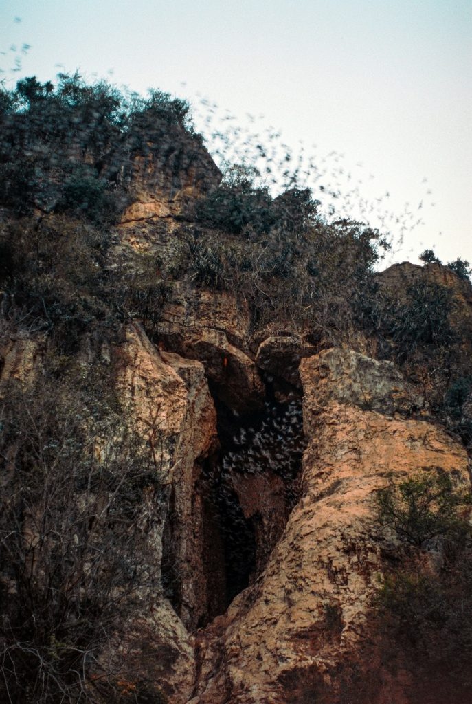 Battambang Bat Cave, Phnom Sampov, Cambodia  